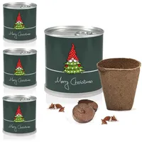MacFlowers® Tannenbaum | 4 Stück Dein Tannenbaum Anzuchtset | Alles enthalten | 10 Samen | Nachhaltig Schenken | Geschenk für Frauen und Männer | Adventskalender Wichteln Weihnachten Nordmanntanne