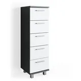 Vicco Badschrank Ilias Anthrazit/Weiß 30 x 95 cm