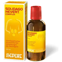 Solidago Hevert Complex Tropfen 100 ml