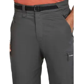 Icebreaker Merino Elevation Stretch Hosen Grau 30