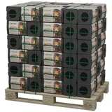 REKORD Braunkohle Briketts