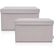 Lifeney Aufbewahrungsbox 37 x 25 x 21 cm 2-tlg. hellgrau