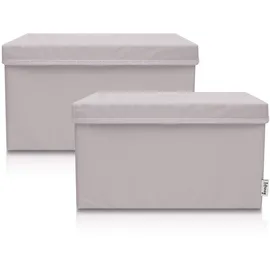 Lifeney Aufbewahrungsbox 37 x 25 x 21 cm 2-tlg. hellgrau