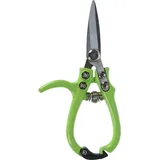 PROGARDEN Gartenschere Rosenschere Gemüsepflanzen Astschere 15,5x5,5cm Amboss Klinge), grüne Farbe - Ipae Progarden