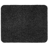 Astra Schmutzfangmatte Entra Saugstark 90x150 cm