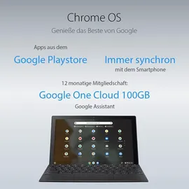 Asus Chromebook CM3 10'' MediaTek 520 8 GB RAM 128 GB eMMC ChromeOS Silber