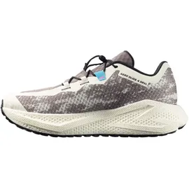Salomon Aero Glide 4 GRVL Herren Vanilla Ice/Black 48