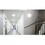 Steinel Einbauleuchte 5er Pack Weiß/Silber