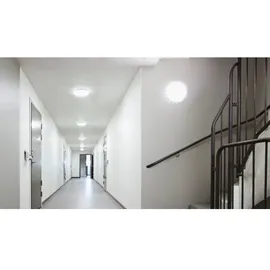 Steinel Einbauleuchte 5er Pack Weiß/Silber