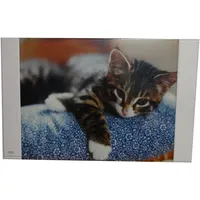 Livepac-Office Schreibtischunterlage/Größe: 68x44cm / mit Katze