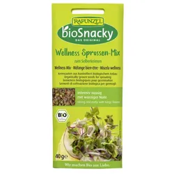 Rapunzel bioSnacky Wellness Mischung