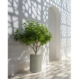 Beliani Blumentopf grau Betonoptik rund 36x36cm mit Loch In- & Outdoor Eucommia