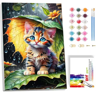 Katzen Malen Nach Zahlen Kinder Mit Rahmen-Katze Malen Nach Zahlen Kinder Leinwand Ölgemälde,Tiere Paint by Numbers Mit Geschenkbox DIY ab 5 6 7 8 9 Jahre Mädchen Bastelset Geschenk 20x30cm