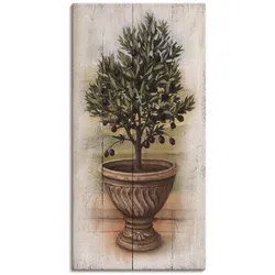 Leinwandbild ARTLAND "Olivenbaum mit Holzoptik", grün (farbe bild(er): grün), B:20cm H:40cm, Canvas, Leinwand, Bilder, auf Keilrahmen gespannt