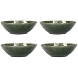 Mikasa Jardin 4pc Pasta Schüssel Set, 4x glasierte Steingut Pasta Schalen, Grünes Botanisches Design, Dinner Schalen für Pasta, 20cm - Spülmaschinenfest & Stapelbar
