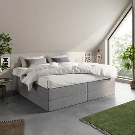 home collective Boxspringbett 200 x 200 cm H2 Grau
