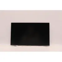 Lenovo Thor DISPLAY 15.6" HD TN 220nit 45%CG non-brac,