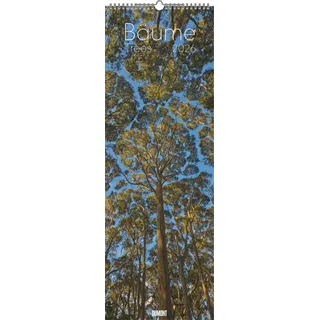 Neumann Bäume 2026 - Foto-Kalender - Wand-Kalender - King-Size - 34x98
