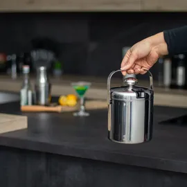 Intirilife 4-teiliges Eiskübel Set, Flaschenkühler, Silber