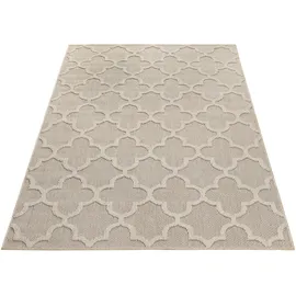 Ayyildiz In- und Outdoor-Teppich Patara 4951 Beige 80 cm x 150 cm