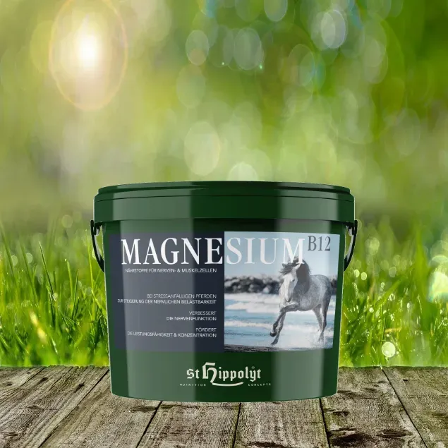 St. Hippolyt Magnesium B12 - 25 kg - Nährstoffe für Nerven- und Muskelzellen
