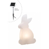 8 seasons DESIGN Shining Rabbit 70 cm (Solar) Indoor & Outdoor