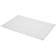 BettwarenShop BettwarenShop, Daunen Sommerdecke Premium leicht, Füllung: 90% Daunen, 10% Federn 155x220 cm