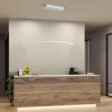 Hell SIRA Pendelleuchte