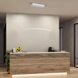 Hell SIRA Pendelleuchte