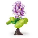 PONTEC PondoHyacinth Blooming