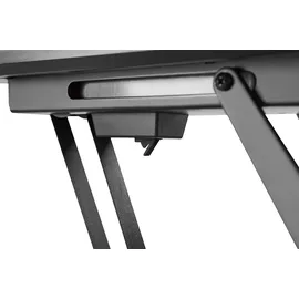My Wall HL 40 ML TV-Deckenhalterung Motorisiert, neigbar, mit Fernbedienung