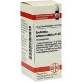 DHU-ARZNEIMITTEL AMBROSIA ARTEM C30