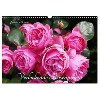Calvendo Verlockende Rosenpracht (Wandkalender 2026 DIN A3 quer), CALVENDO