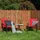 Sol Royal Sichtschutzmatten SolVision R63 Rinde 300 x 100 cm natur