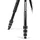 Manfrotto Befree Live Kit Twist Alu mit Fluid-Videokopf