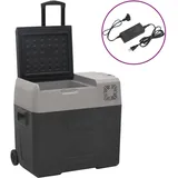 vidaXL Kompressor Kühlbox 50 l