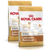 Royal Canin Labrador Retriever Adult 2 x 12 kg