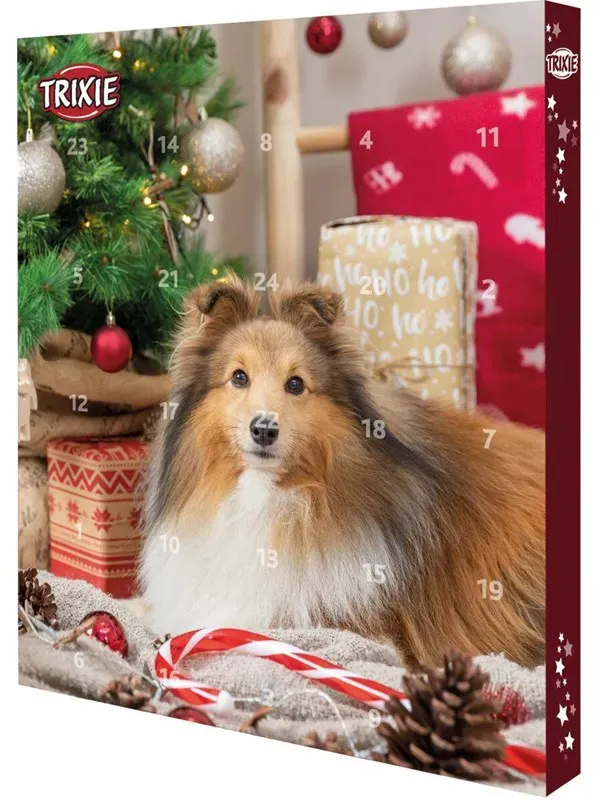 Preisvergleich Produktbild Advent Calendar for Dogs