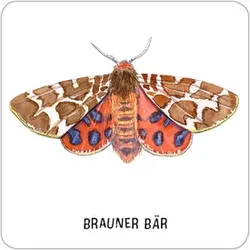 MOSES. Spiel Das grosse Insekten Memo 9887 ExpN