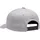 Fox Legacy 110 Snapback Kappe grau Einheitsgröße