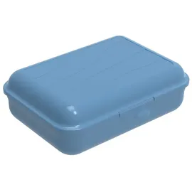 Rotho Funbox rechteckig blau 19,5 x 14,5 x 6,5 cm 1,25 l