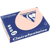 Clairefontaine Trophée A4 80g/m2 500 Blatt lachs