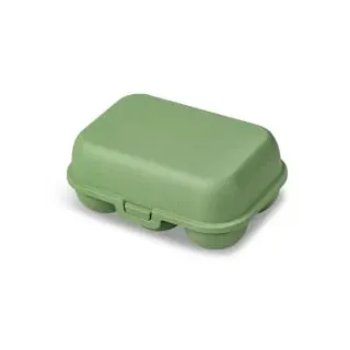 Koziol Eierbox Eggs to go mini grün 17 x 11,8 cm 6 Eier