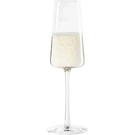 Stölzle Power Champagnerglas 0,24 l 6er Set