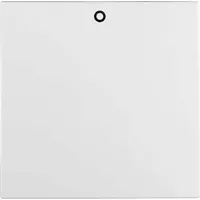 Berker Wippe pws 16221909