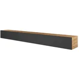Planetmöbel TV-Board WEST (TV Lowboard, Fernsehschrank hängend oder stehend), Fernsehtisch 3x 100cm breit goldfarben 100 cm x 30 cm x 37.8 cm