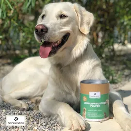 Paws & Patch Grünlippmuschel Pulver 500 g