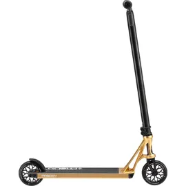 Blunt Prodigy X Gold