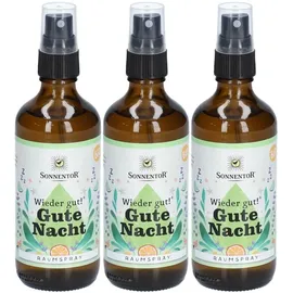 Sonnentor Raumspray Gute Nacht 100 ml