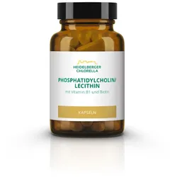 Phosphatidylcholin / Lecithin Kapseln